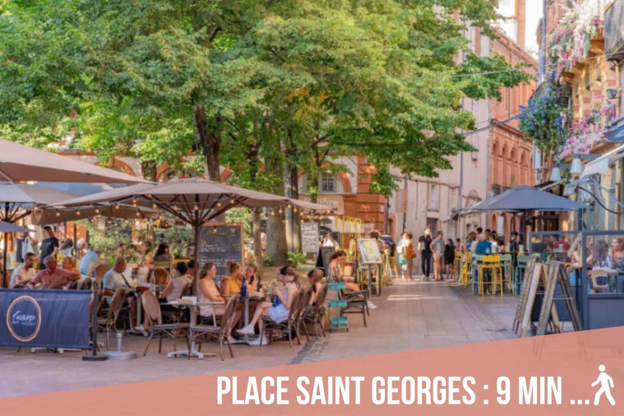 Chartreuse, Clim, Parking, Terrasse Au Calme Apartment Toulouse Exterior photo